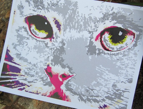 Ragdoll Kitten Notecard